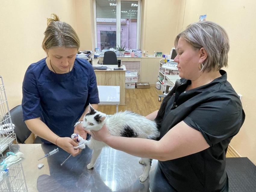Московский ветеринарный врач проведет индивидуальные консультации владельцев домашних животных в Чите